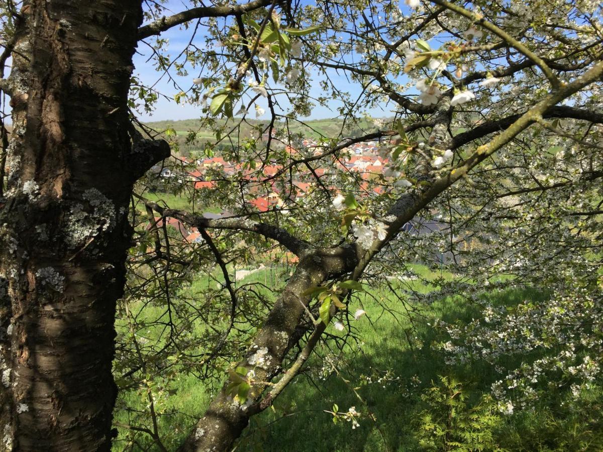 Sweetsuites 40A Lavendelhaus Mühlhausen Esterno foto